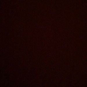 Meet your Posher, Bo